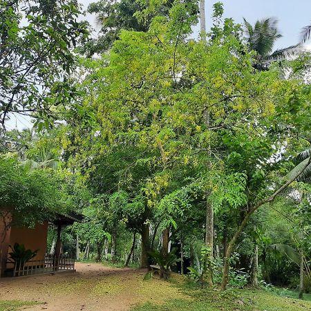 Mirigama Nature'S Hideout Holiday Home מראה חיצוני תמונה