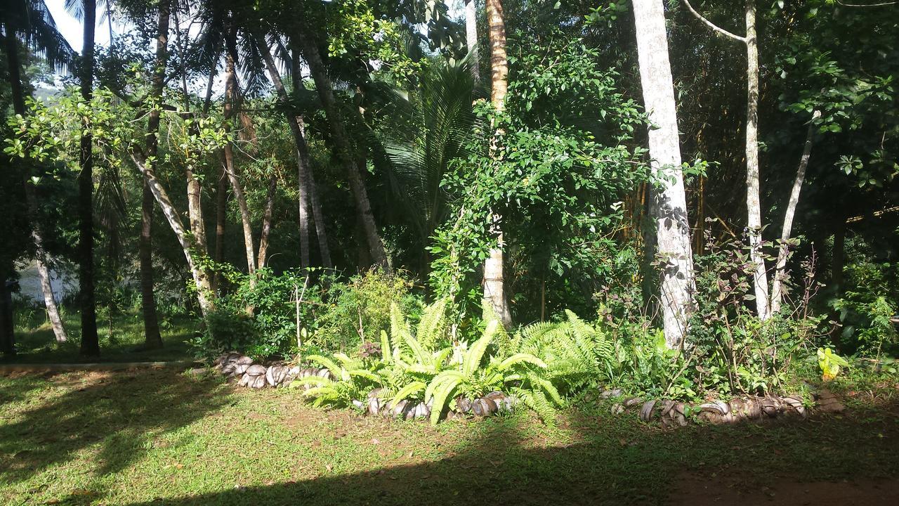 Mirigama Nature'S Hideout Holiday Home מראה חיצוני תמונה
