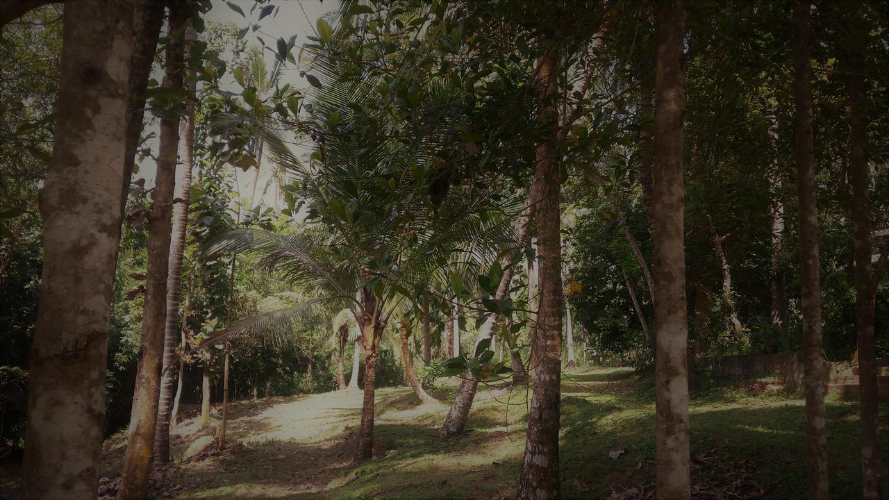 Mirigama Nature'S Hideout Holiday Home מראה חיצוני תמונה